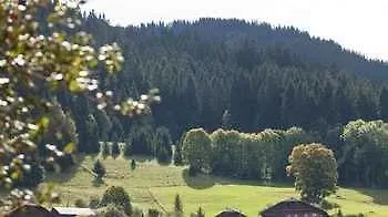Logis Le Caprice Des Neiges Hotel