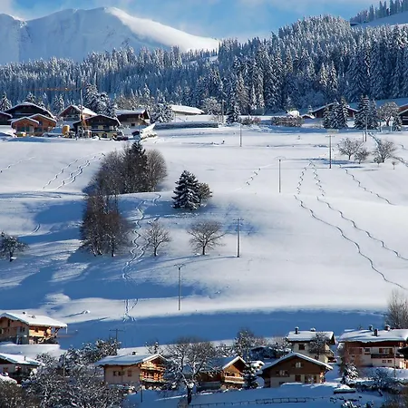 Logis Le Caprice Des Neiges Hotel 2*