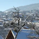 Hotel Le Caprice Des Neiges Combloux Hotell Combloux