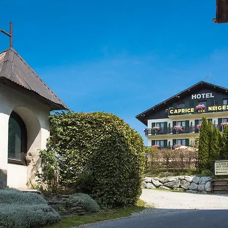 Hotel Le Caprice Des Neiges Combloux Hotell Combloux